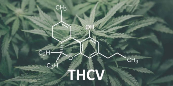 Ce este THCV și cu ce diferă de THC?